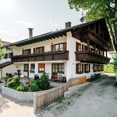 Saeuling , Linde, Seeg-enzenstetten Im Allgaeu, Mit Koenigscard *